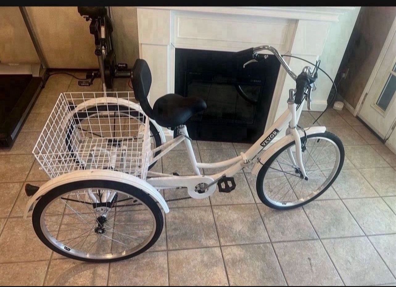Adult tricycle