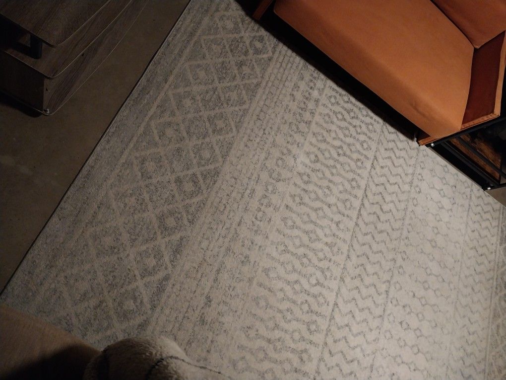 Trendy Large Area Rug In Good Shape - $25 (Old Town) 