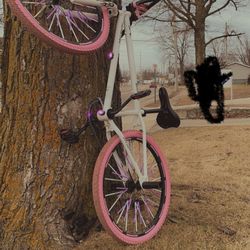 Box Bike 24,inch Wheels I’ll Take Trades To