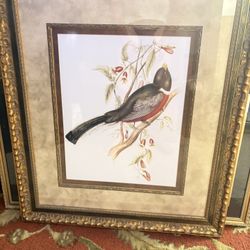 Framed Picture