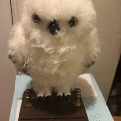 Harry Potter’s Owl - Hedwig- Moves Head And Makes Noise