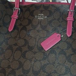 Coach Molly Tote Outlet In Signature Canvas J2311-1665