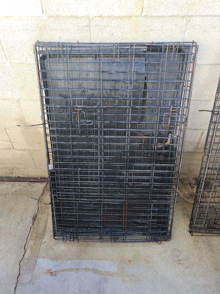 Large Dog Kennel