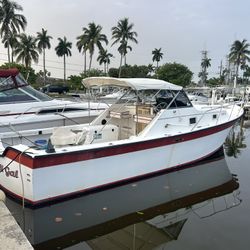 1987 Luhrs Alura
