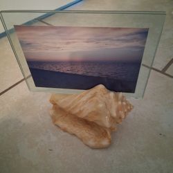 Beach Decor Ceramic Shell Photo Frame
