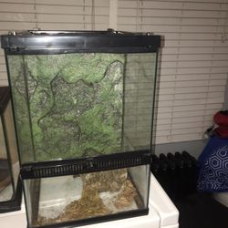 Reptile Tank 