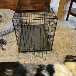 Dog Kennel