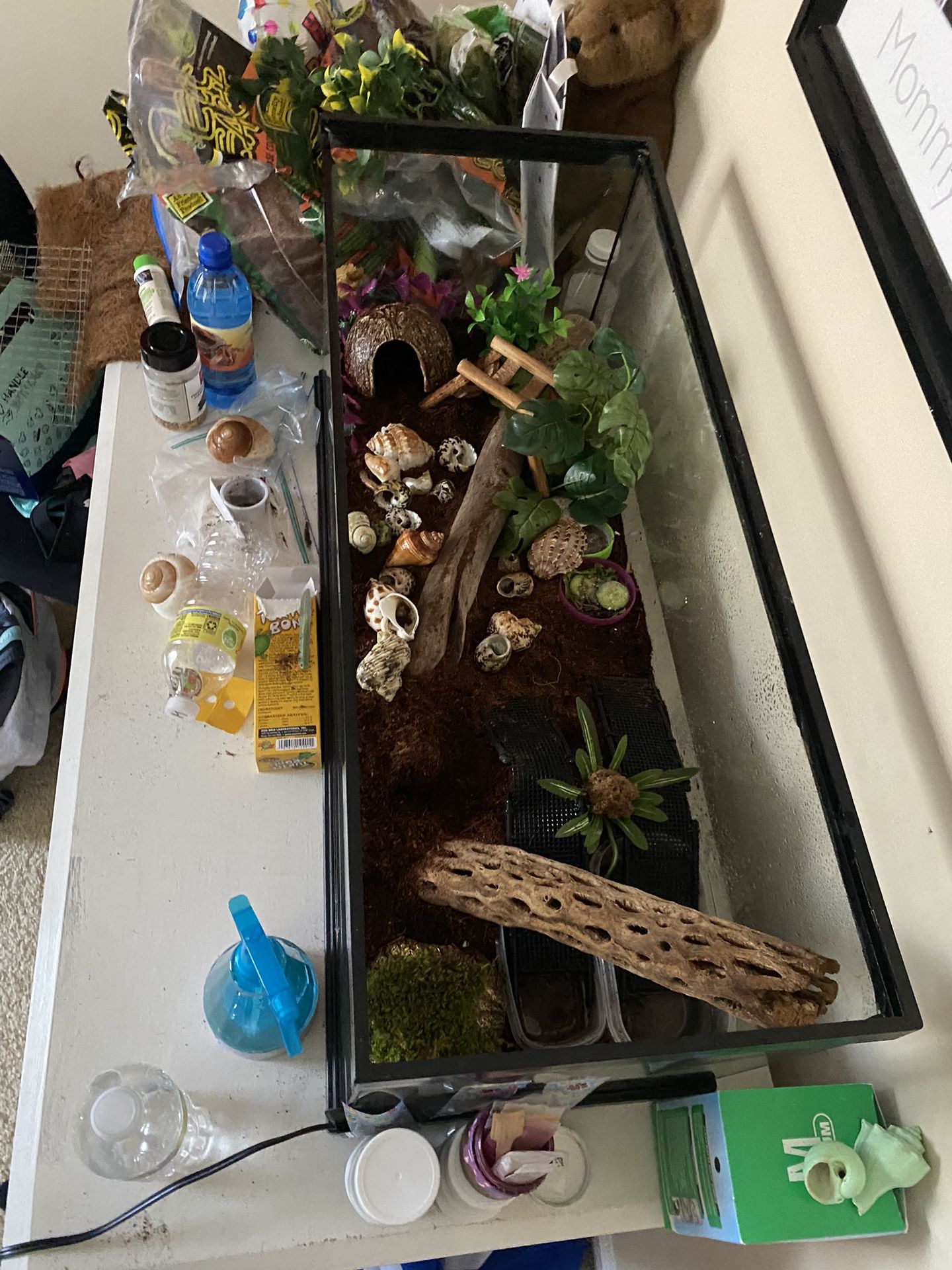 20 gallon tank