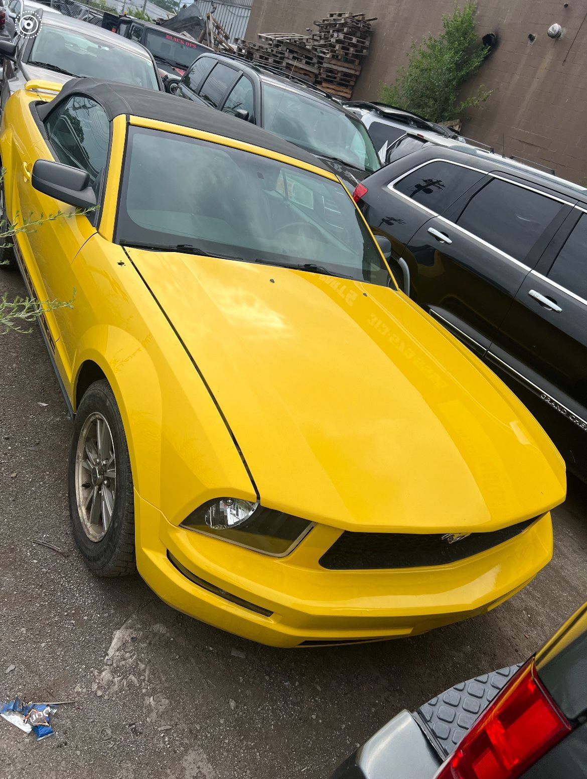 2005 Ford Mustang