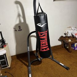 Punching Bag + Stand