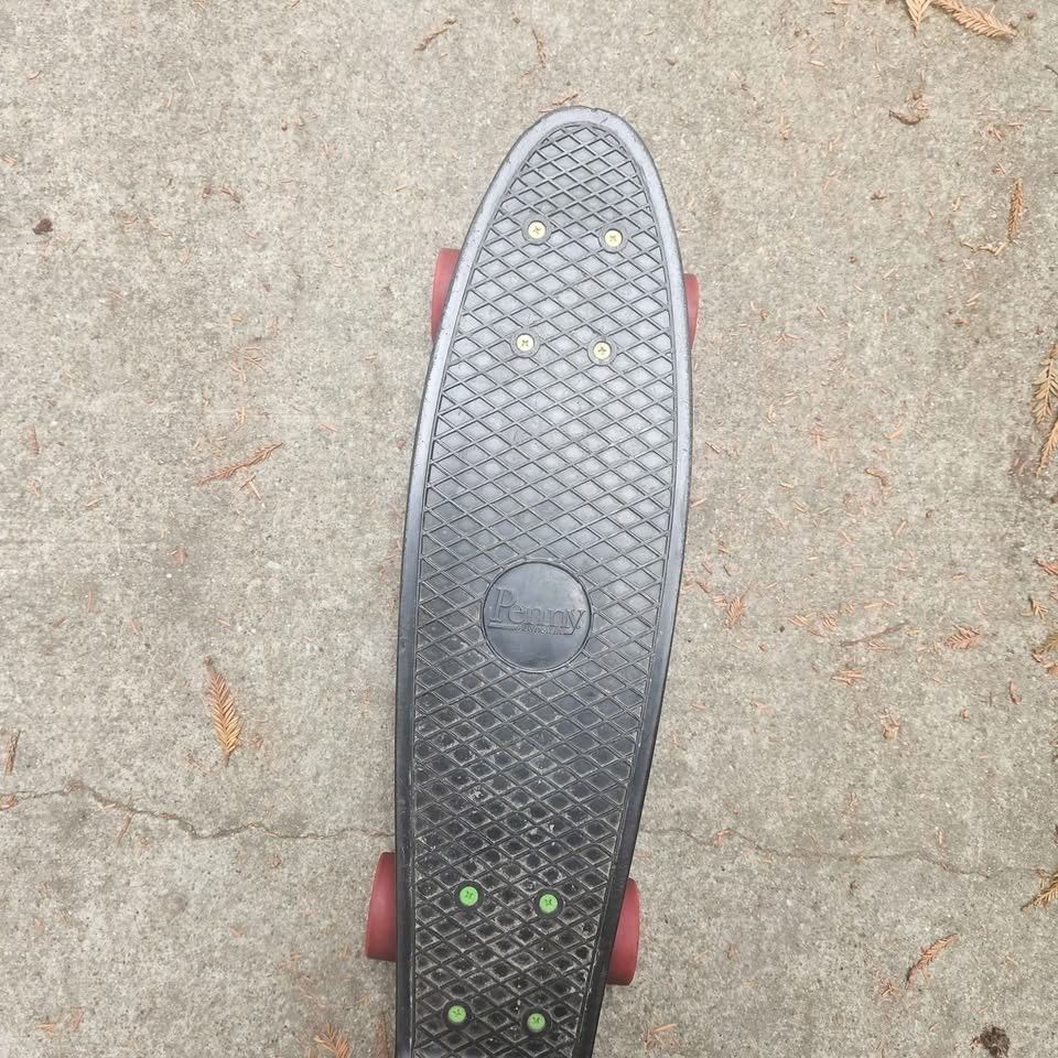 Penny Board Skateboard