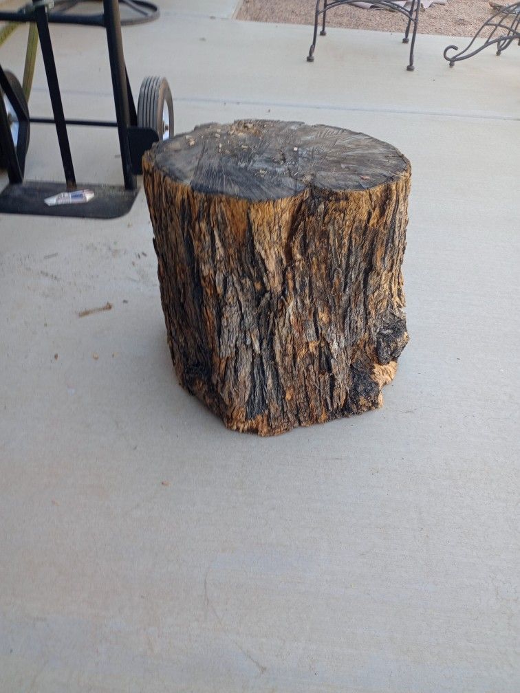 Tree Stumps Or Chairs