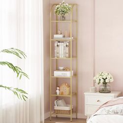 Gold Shelves/Bookcase