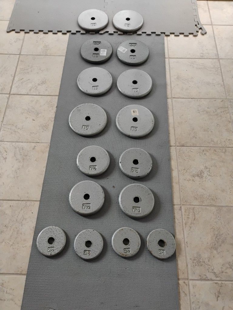 120 Ibs Weight Plate With Curl Bar