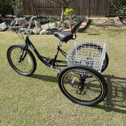 Tricycle 24 Inch With Carrier