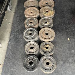 110 lbs BFCO Standard 1” Weight Plate …. Home Gym Fitness….