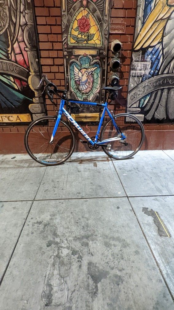 Schwinn Fastback AL Claris