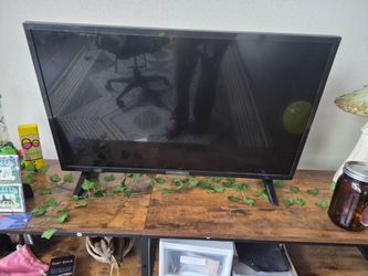 Insignia Flat Screen TV + Remote – Great Condition