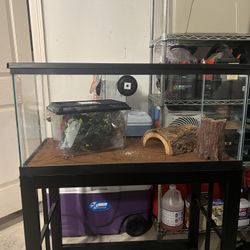 40 Gallon Aquarium And Stand