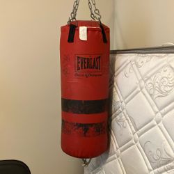 Everlast Punching Bag and Gloves