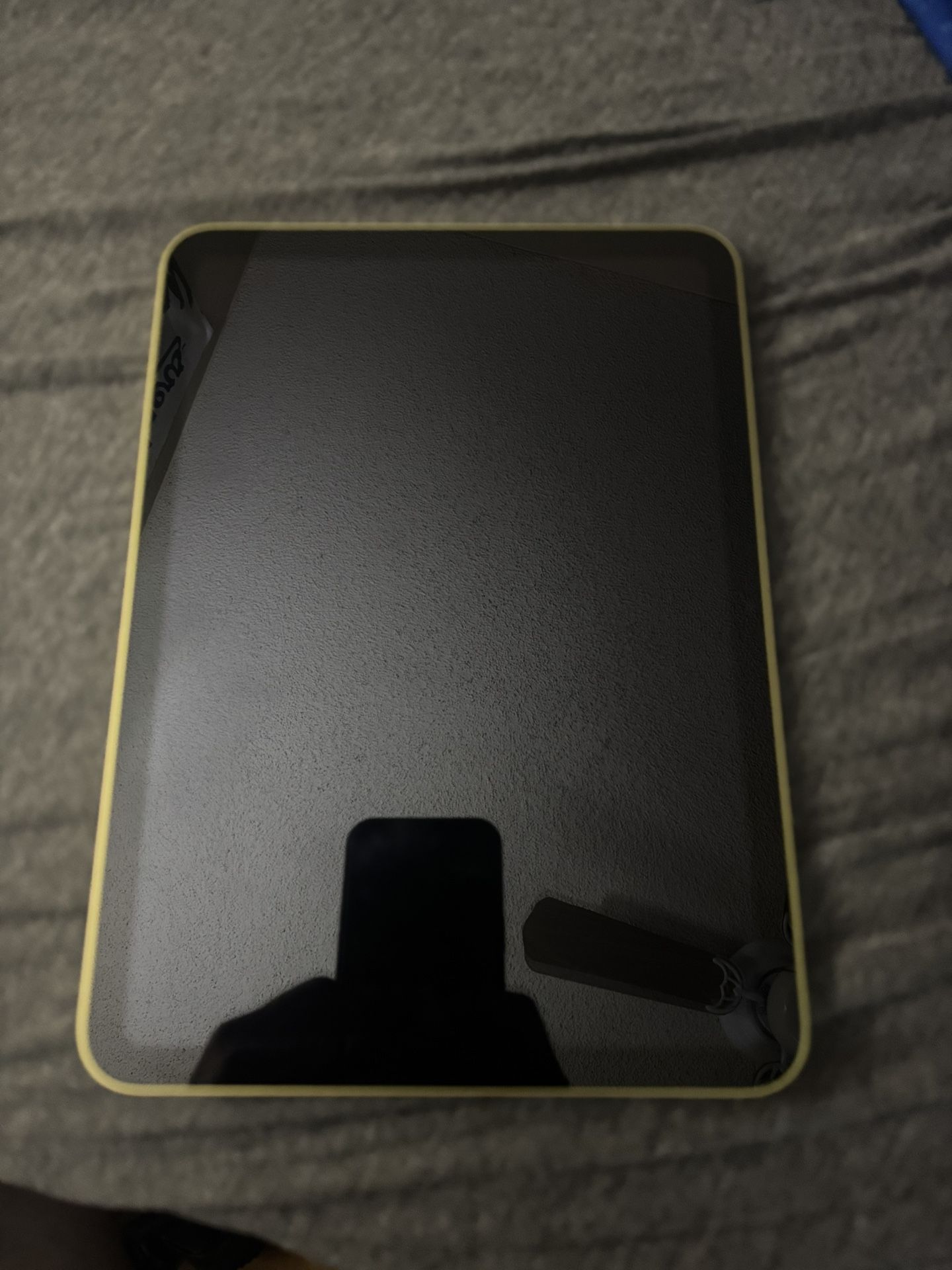 iPad 10th Gen 256gb