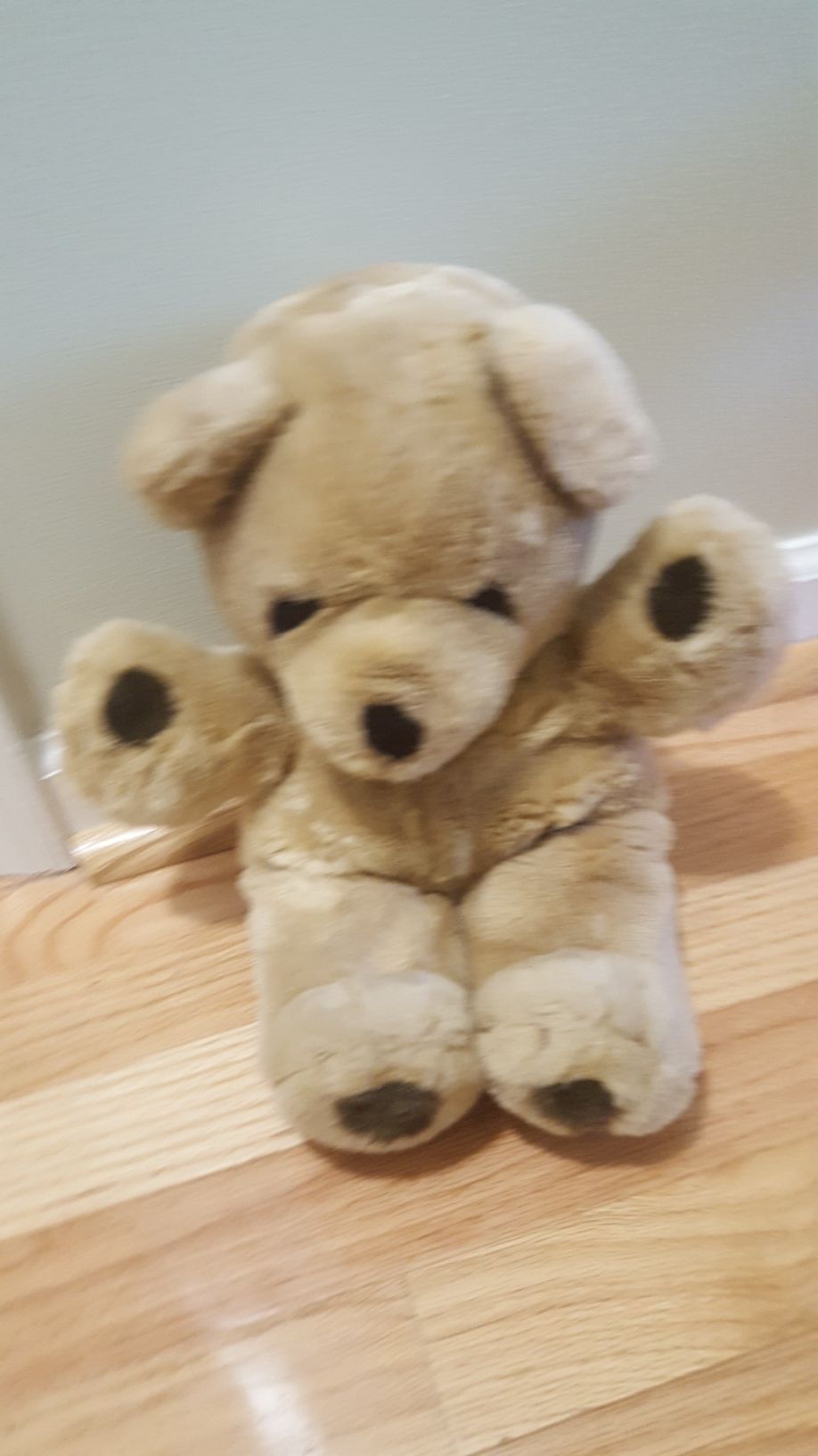 Gund Teddy Bear