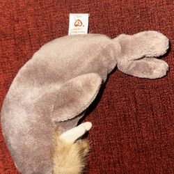 Jolly The Walrus beanie babies 