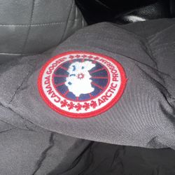 Canada Goose