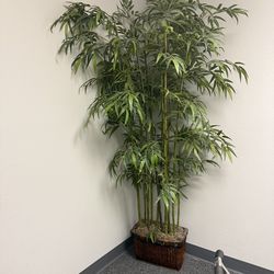 Office bamboo tree