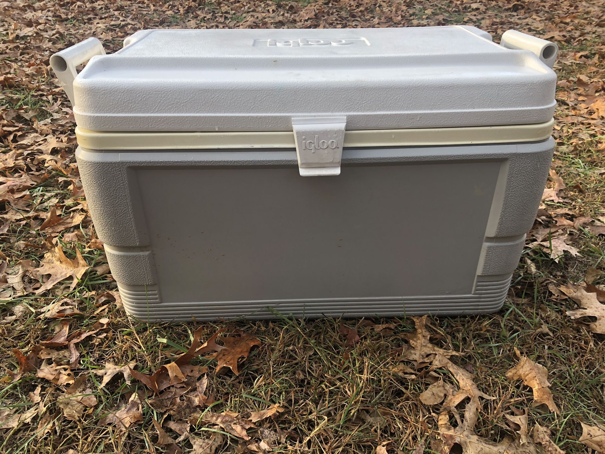 Coleman Cooler