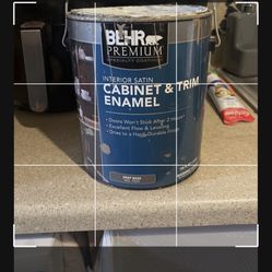 Cabinet & Trim Enamel Paint 