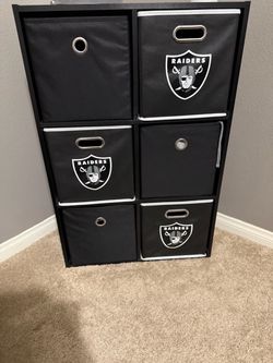 Storage organizer