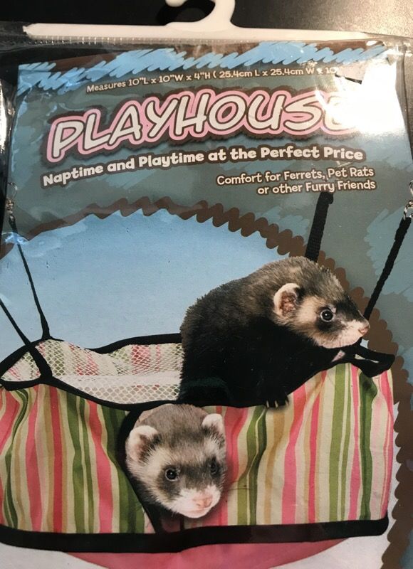 Sugar Glider, Ferret, Small Animal Playhouse