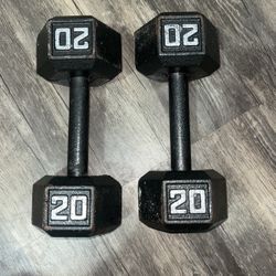 20lbs Dumbbells 