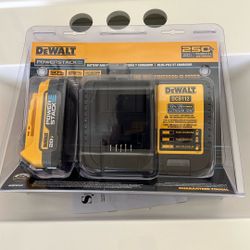 Dewalt 20 V Battery And Charger