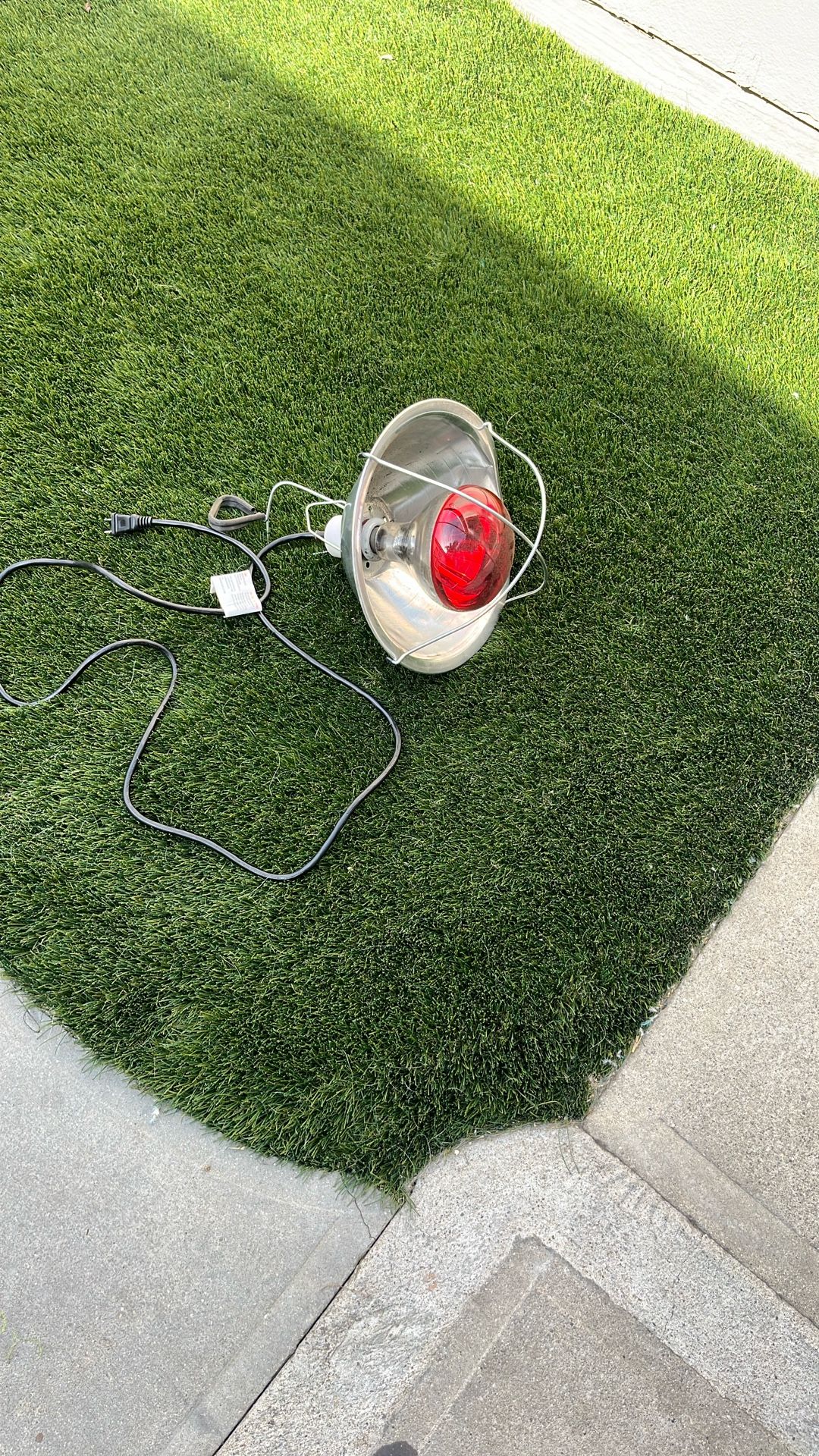 Chicken Like Or Reptile Heating Lamp