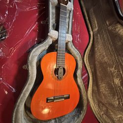 Guitar Case