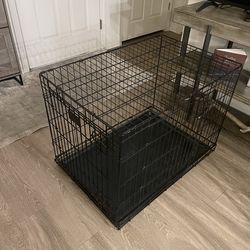 Dog Kennel