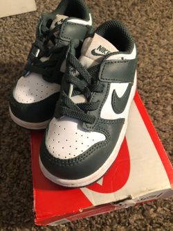 Toddler dunks size 5c