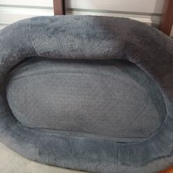 Human Size Dog Bed