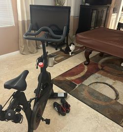 Peloton