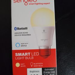 Smart LED