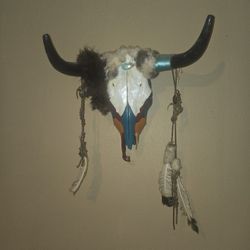 Bull Skull