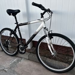 Budget City Bike