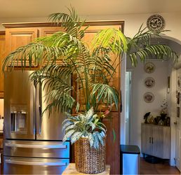 Huge 6ft Silk Potted Palm