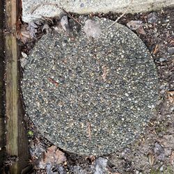 FREE! Six 14” Stepping Stones