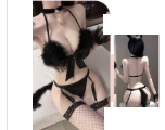 Black Sheer Panel Lingerie Set