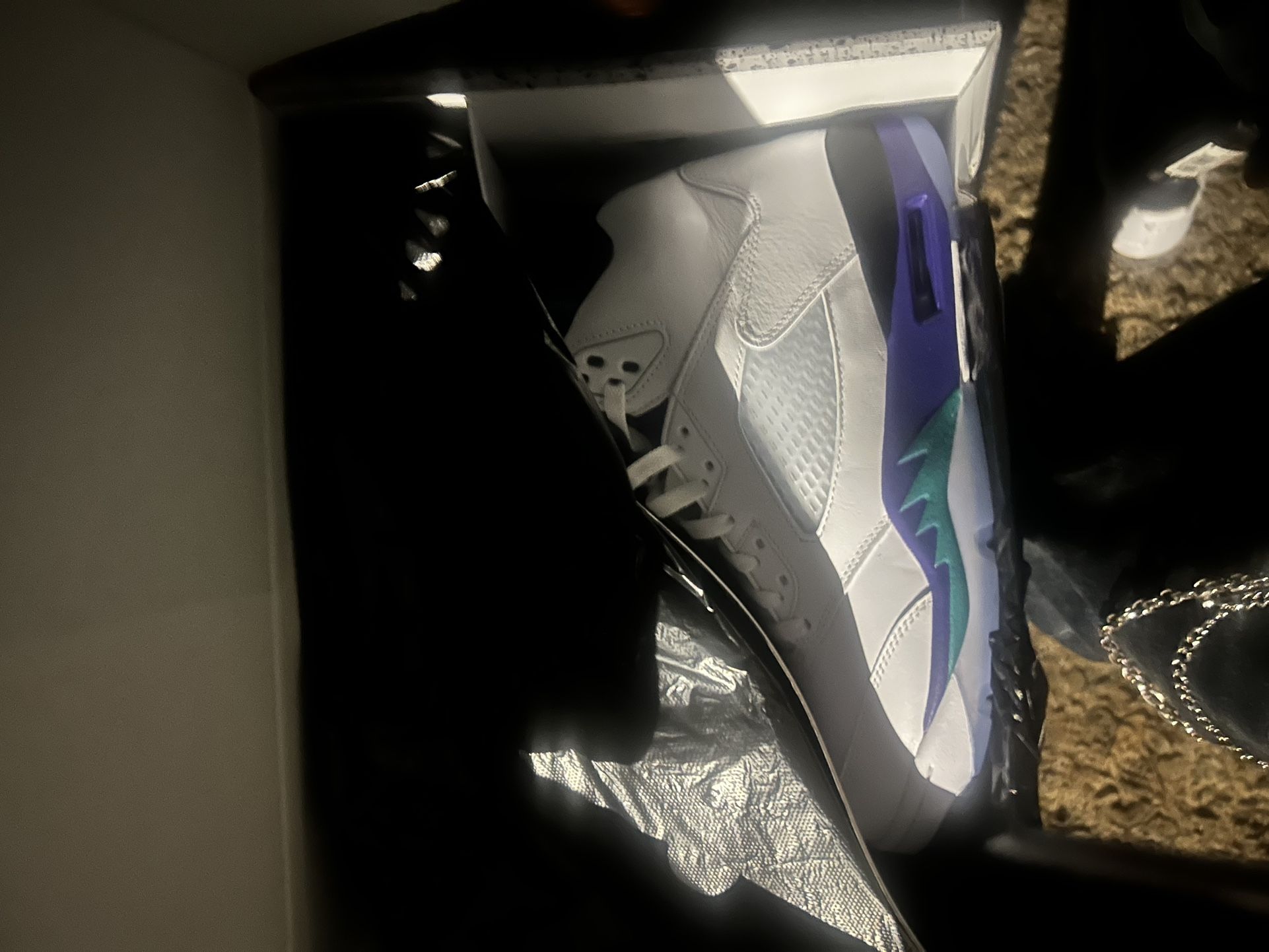 AIR JORDAN 5s “GRAPE “
