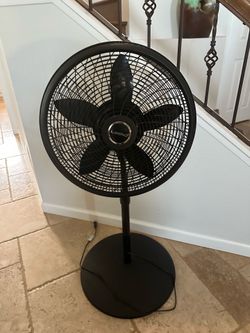 Lasko Pedestal Black Fan