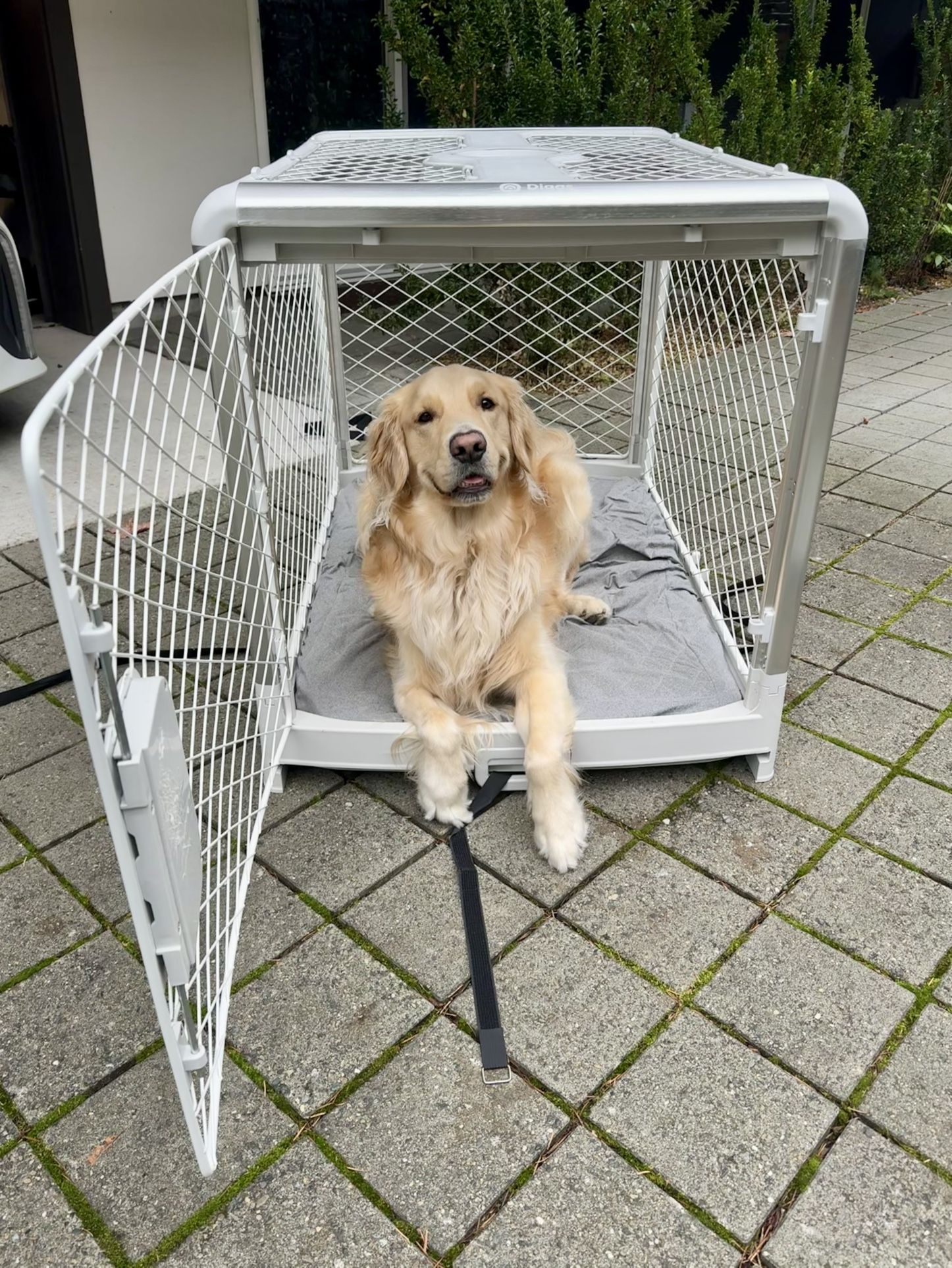 Revol Dog Crate (Ash, Large)